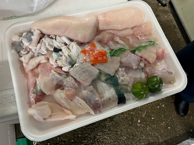 泳ぎ活けトラフグ 白子付き1匹（2名分）